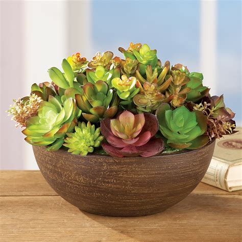 Faux Succulents In Round Planter Collections Etc
