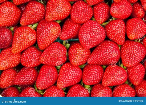 Closeup Of Strawberries Stock Photo Image Of Diet Fresh 55789288