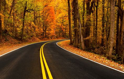 Wallpaper Road Autumn Leaves Nature Mountain Colors Colorful