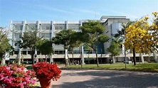 Universidad Central del Caribe - MedResidency