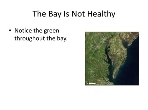 Ppt Chesapeake Bay Powerpoint Presentation Free Download Id793575