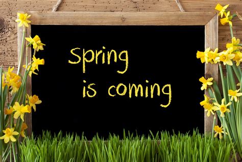 Spring Is Coming Preschool And Childcare Center Serving Las Vegas Nv
