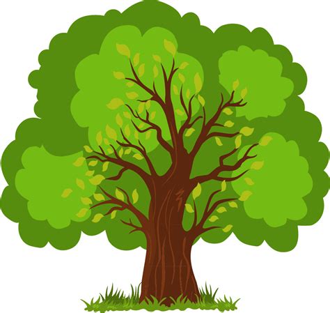 Euclidean Vector Tree Vector Hand Painted Lush Tree Png Download