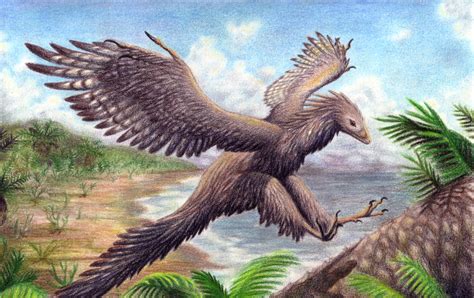 Art Of Emily Willoughby Archaeopteryx Lithographica