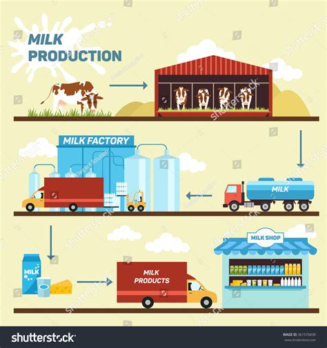Vector Illustration Production Stages Processing Milk Stock Vector