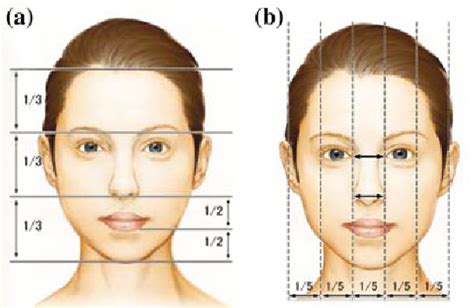 Figure 24 From Chapter 2 Typical Facial Beauty Analysis Semantic Scholar