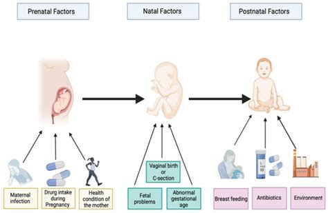 The Human Gut Microbiome In Autism Spectrum Disorder Encyclopedia Mdpi