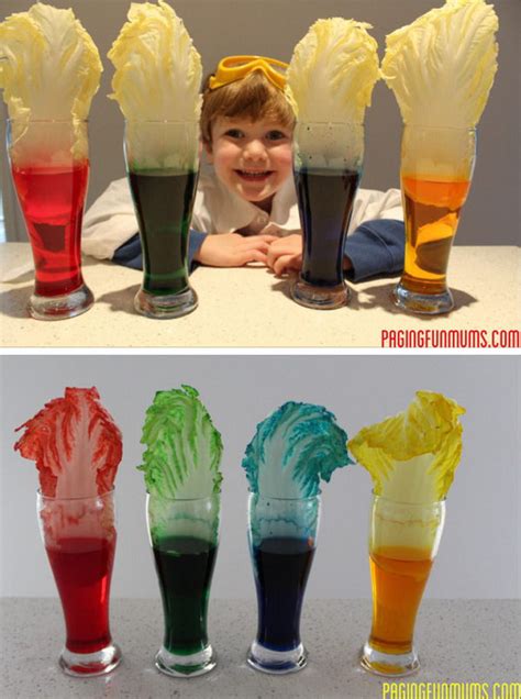 Fun And Creative Science Experiments For Kids Noted List