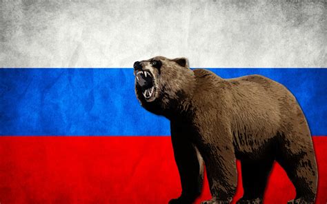 Wallpaper Flag Bears Russia Russian Bear Mammal Vertebrate