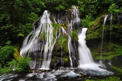 Ford Pinchot National Forest Washington Usa Falls Creek Ford