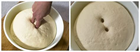 how do you know when bread dough has risen enough knead rise bake