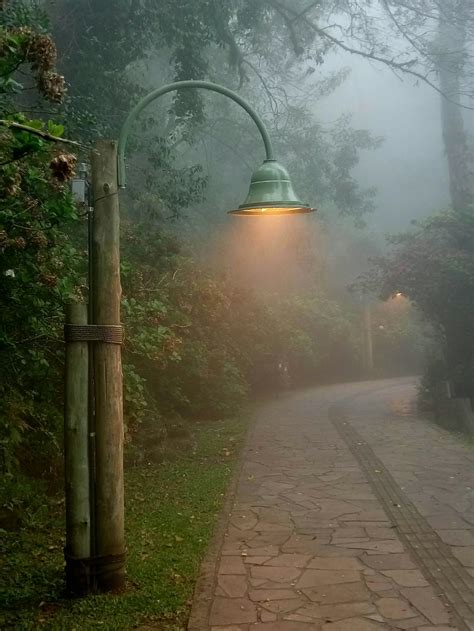 Empty Street With Lamp In Foggy Park · Free Stock Photo