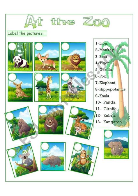 At The Zoo Esl Worksheet By Glamorous