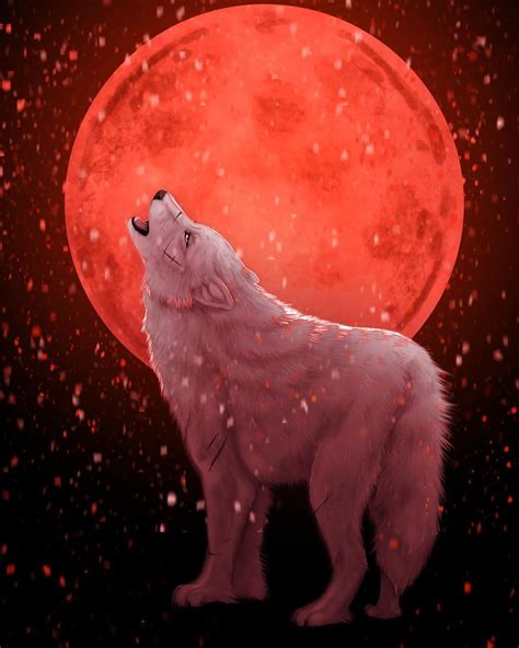 Wolfs Rain Speed Paint Polar Bear Procreate Infinite Digital Art