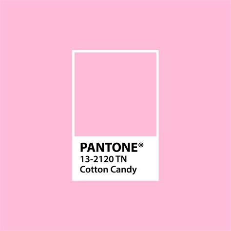 I Can Almost Taste This Cotton Candy Pink🤤nicolalynndesign Lynn