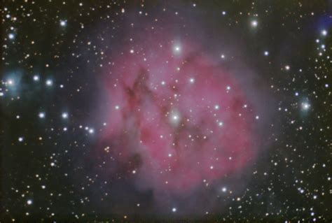 Ic 5146 Cocoon Nebula Flc Observatory