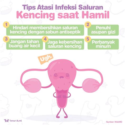 Infeksi Saluran Kencing Pada Wanita Newstempo