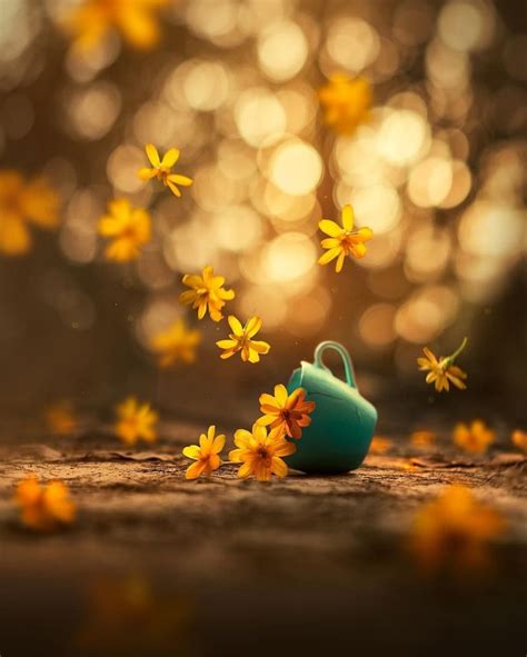 10 Incredible Still Life Photographers And Tips To Up Your Game