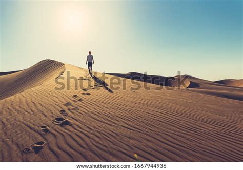113566 Walk In Desert Stock Photos Images And Photography Shutterstock