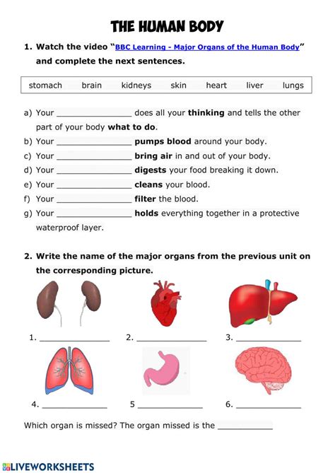 The human body is the body of a person. Human body Interactive worksheet