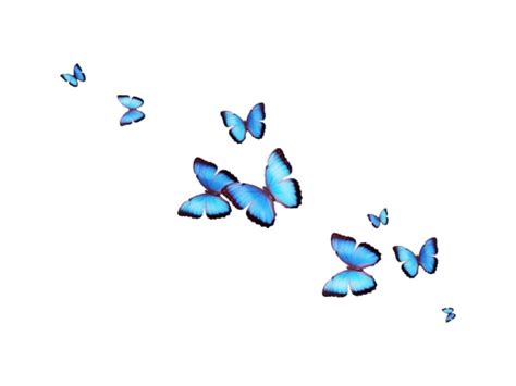 Aesthetic Blue Butterfly Wallpapers Wallpaper Cave
