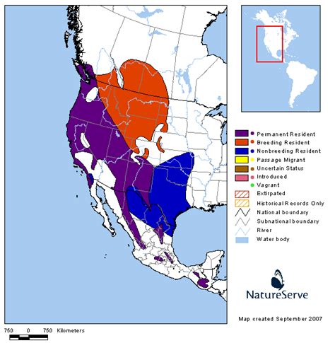 Americas Range Map Spotted Towhee