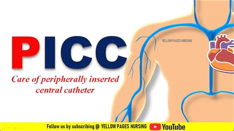 Peripherally Inserted Central Catheter Care Of Picc Line Youtube