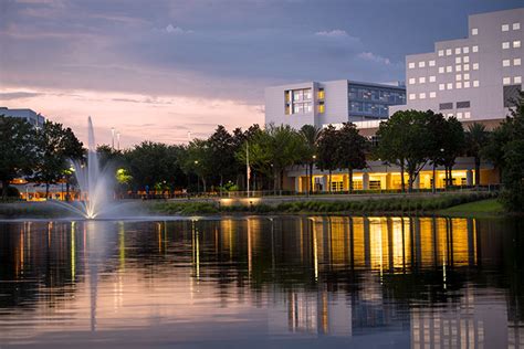 Just perfect for a cold day! Jacksonville, Florida - Campus and Community - Mayo Clinic ...