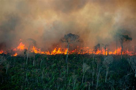 Imagens Aéreas Mostram O Avanço Do Fogo Sobre A Amazônia Ciclovivo