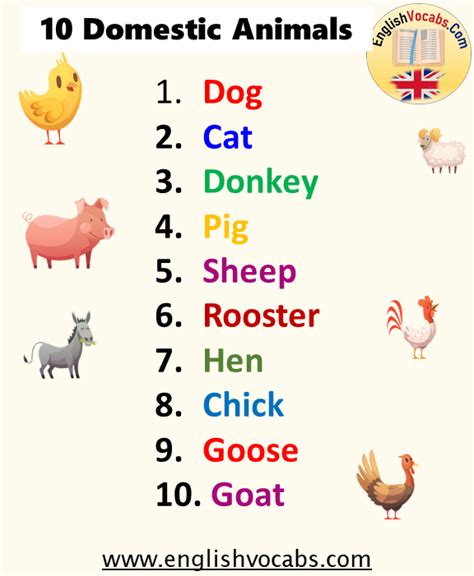 10 Domestic Animals Name English Vocabs