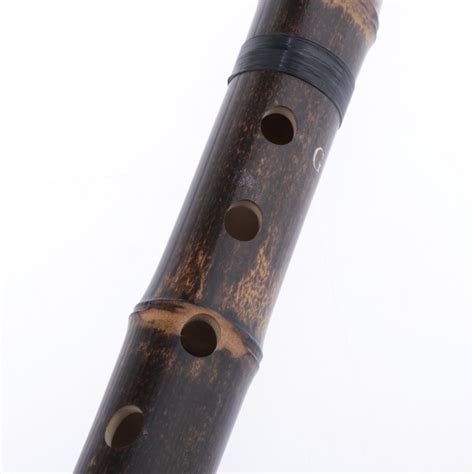 Professional 8 Holes Bamboo Flute Xiao Woodwind Instrument for ...