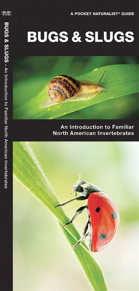 Bugs And Slugs Invertebrates Of North America Pocket Naturalist Guide