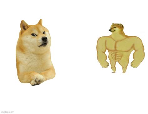 Muscel Doge And Cheems Template
