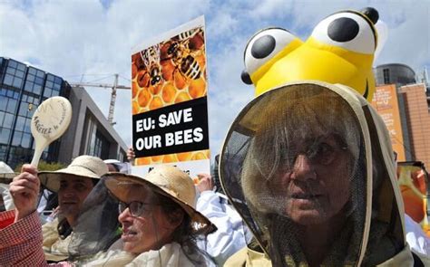 Eu To Ban Bee Killing Pesticides World News
