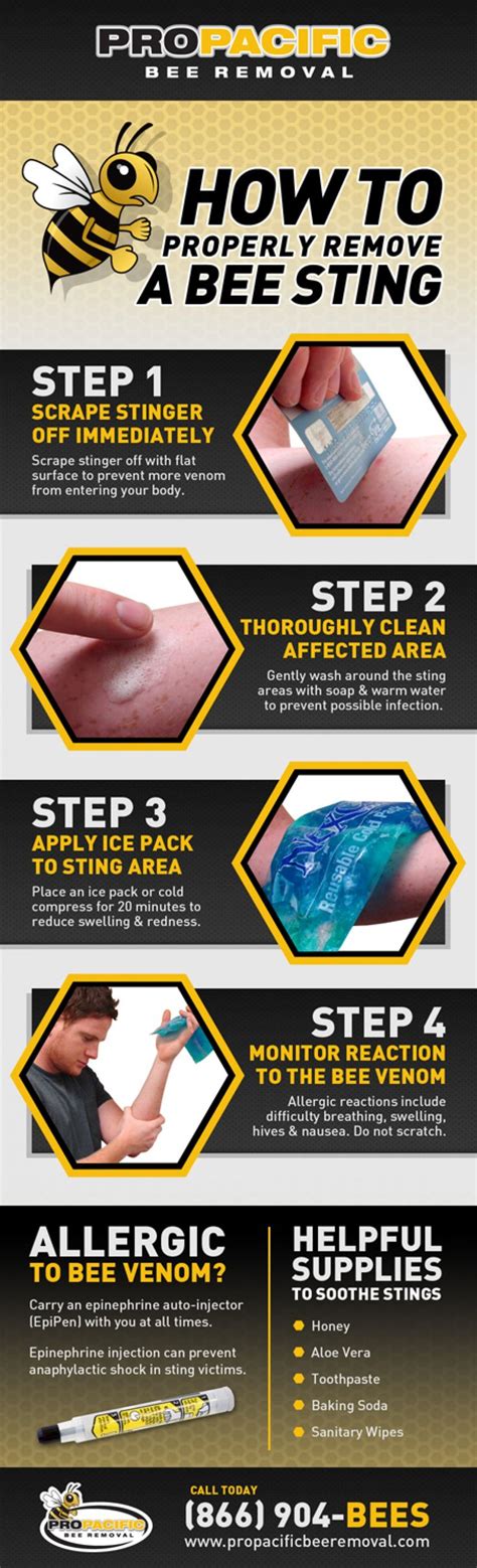 Properly Remove And Treat A Bee Sting Infographic P3k