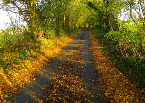 Road In Autumn England By Ros Baylis Cr🇬🇧 Beautiful World