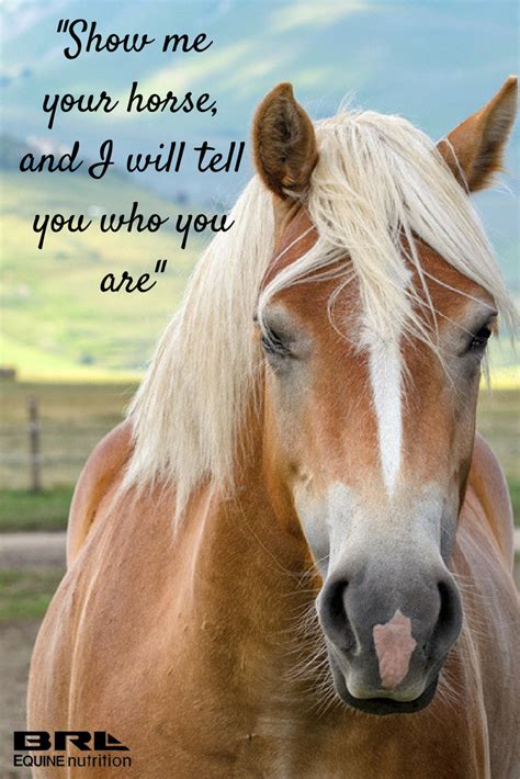 Show Me Your Horse And I Will Tell You Who You Are Horse Quote