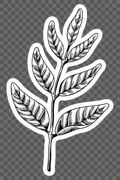 Black And White Leaf Sticker Free Png Sticker Rawpixel