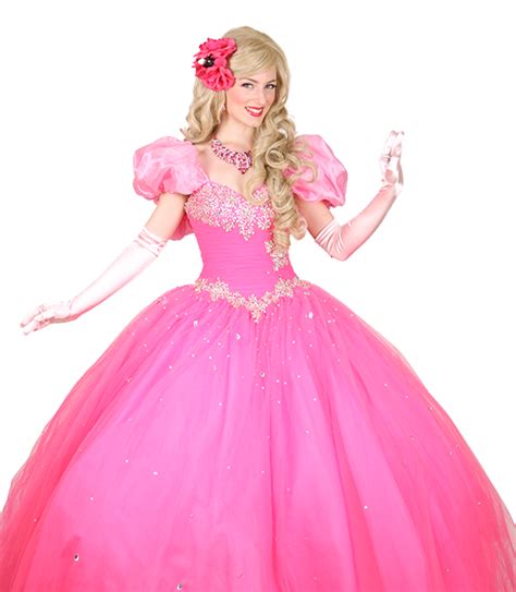 Pretty Pretty Hot Pink Princess Pretty Pretty Princess Characters Your Magical Party