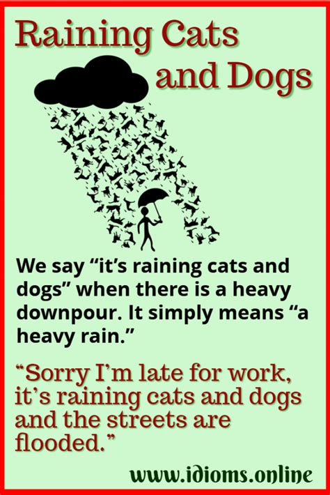Raining Cats And Dogs Idioms Online