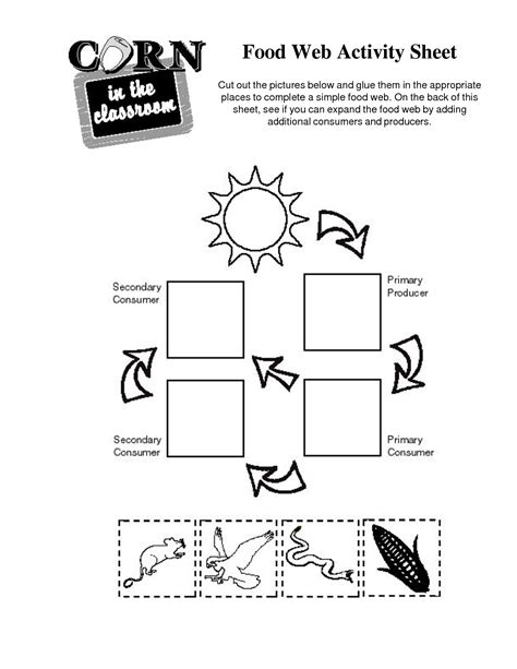 9 Best Images Of Food Chain Worksheets For Kindergarten Food Chain