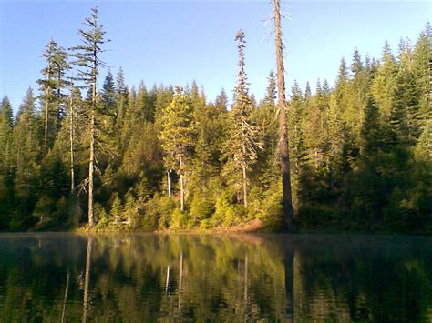 Nights Camp In Mendocino National Forest David Mcnamara