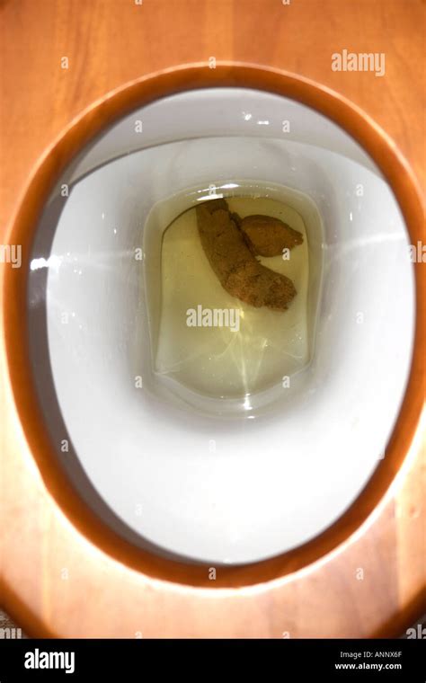 Shit Turd Poo Excrement Dump Crap Stool Or Faeces In A Lavatory Bog