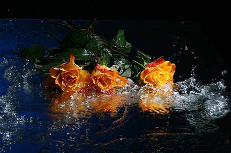 Wet Roses Wet Bouquet Water Drops Flowers Beauty Roses Beautiful