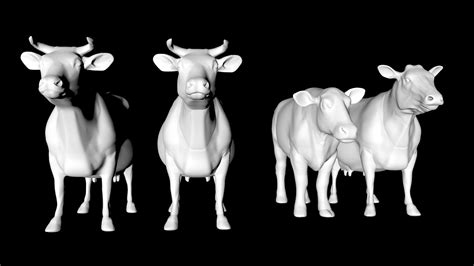 3d Cow Female Male Model Turbosquid 1689042