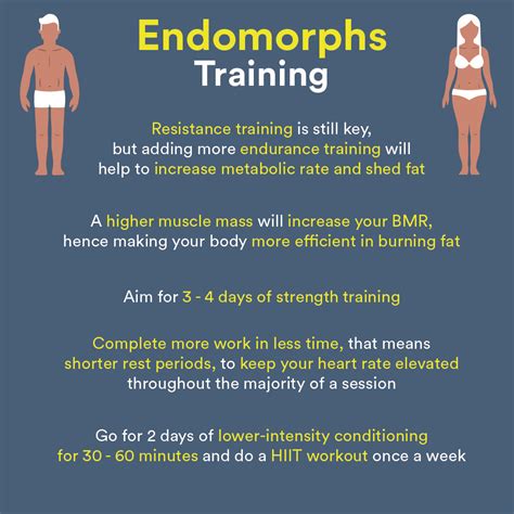 How To Exercise And Diet Correctly For Your Body Type Endomorph Diet Endomorph Diet Plan