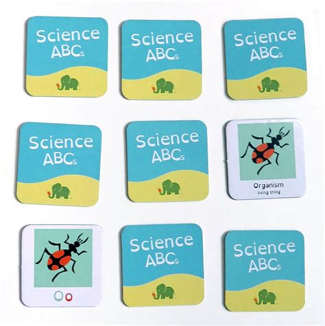 Science Abcs Memory Match Game Jumbo Minds