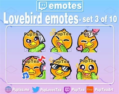 6x Cute Lovebird Emotes Pack For Twitch And Discord Set 3 Etsy In 2022 Twitch Love Birds
