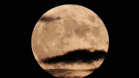 The moon is a gravity rounded astronomical body orbiting earth and is the planet's only natural satellite. Rare full moon on Halloween this year, won't happen again ...