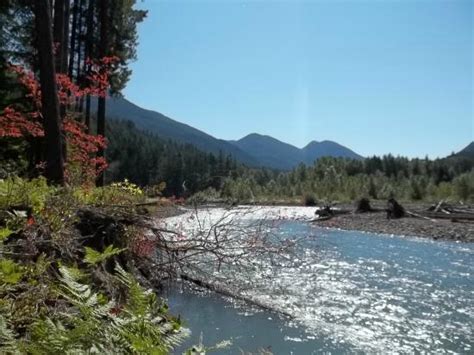 Ford Pinchot National Forest Washington 2021 What To Know Before